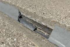 logo_2024-05-08_14-17-15-800