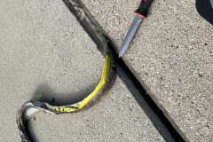 logo_2024-05-10_09-25-55-800