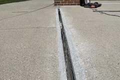 logo_2024-05-10_11-53-48-800