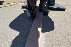 logo_2024-05-10_12-04-27-800