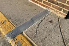 logo_2024-05-13_07-39-36-800